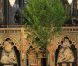 Dans la semaine précédant le mariage, la décoration florale, incluant huit arbres (érables et charmes) de 6 mètres de haut, ont été implantés dans l'abbaye de Westminster.