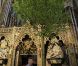 Dans la semaine précédant le mariage, la décoration florale, incluant huit arbres (érables et charmes) de 6 mètres de haut, ont été implantés dans l'abbaye de Westminster.