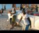 La Zagada de Thomas N'Gijol et Fabrice Eboué