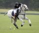 Le prince William lors du tournoi de polo caritatif à Sunninghill, près d'Ascot en Angleterre le 12 juin 2011