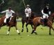 Le tournoi de polo caritatif à Sunninghill, près d'Ascot en Angleterre le 12 juin 2011