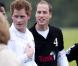 Les princes William et Harry : des rivaux fougueux, complices et trempés
