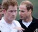 Les princes Harry et William lors du tournoi de polo caritatif à Sunninghill, près d'Ascot en Angleterre le 12 juin 2011