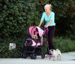 Peter Falk et son épouse Shera Danese étaient fous de leurs chiens qu'ils promenaient dans une poussette comme des enfants. A Los Angeles en 2006