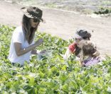 Rachel Bilson passe une après-midi à la ferme avec ses jeunes demi-soeurs Hattie et Rosemary. Los Angeles, 26 juin 2011