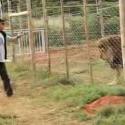 VIDEO + PHOTOS : Yves Rénier, son lion ne lui dit pas merci...
