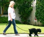 January Jones promène en solo son chien dans les rues de Los Angeles, le 29 juillet 2011.