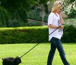 Vêtue d'un jean, January Jones promène son chien dans les rues de Los Angeles, le 29 juillet 2011.