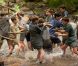 La Guerre des boutons : Carton au box office !