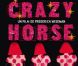 L'affiche du film-documentaire Crazy Horse