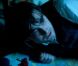 Daniel Radcliffe affronte un horrible fantôme sans la baguette d'Harry Potter
