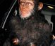 Heidi Klum et Seal s'aiment comme des bêtes... découvrez la transformation !