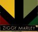 Ziggy Marley et Woody Harrelson -  Wild and free  - 2011.