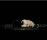 La Grande Sophie dans le clip de  Ne m'oublie pas  réalisé par Valérie Pirson.  Ne m'oublie pas , extrait de l'album  La Place du fantôme , sorti le 13 février 2012.