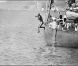 La célèbre photo de Gianni Agnelli qui plonge tout nu de son bateau à Saint Tropez en 1977