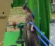 Angelina Jolie accrochée à un bras articulé pour les besoins d'une scène du film  Maleficent , actuellement en tournage en Angleterre. Le 26 juin 2012.