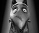 Le chien Sparky de  Frankenweenie , un film de Tim Burton. En salles le 31 octobre.