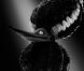  Frankenweenie , un film de Tim Burton. En salles le 31 octobre.