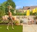 Orangina, le mix de la saga animale par Fred &amp; Farid