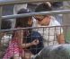 Katie Holmes, sa fille Suri et sa mère Kathleen se sont rendues au zoo de New York, le 11 juillet 2012