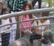 Katie Holmes, sa fille Suri et sa mère Kathleen se sont rendues au zoo de New York, le 11 juillet 2012