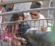 Katie Holmes, sa fille Suri et sa mère Kathleen se sont rendues au zoo de New York, le 11 juillet 2012