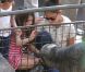 Katie Holmes, sa fille Suri et sa mère Kathleen se sont rendues au zoo de New York, le 11 juillet 2012