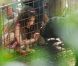 Katie Holmes, sa fille Suri et sa mère Kathleen se sont rendues au zoo de New York, le 11 juillet 2012 - La petite fille oublie le divorce de ses parents grâce aux animaux.