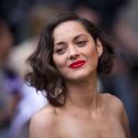 Marion Cotillard : Le joyau unique et sensuel de The Dark Knight Rises