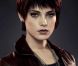 Affiche du film Twilight - chapitre 5 : Révélation (2e partie) avec Ashley Greene