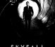 Skyfall - James Bond : Le juteux business de l'agent secret devenu une marque