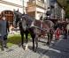  Les obsèques de l'archiduchesse Marie-Christine (Maria Krystyna) de Habsbourg, décédée le 2 octobre, ont eu lieu au palais des Habsbourg à Zywiec (sud de la Pologne) le 11 octobre, avant son inhumation dans la crypte de la cathédrale de Zywiec. 