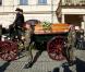  Les obsèques de l'archiduchesse Marie-Christine (Maria Krystyna) de Habsbourg, décédée le 2 octobre, ont eu lieu au palais des Habsbourg à Zywiec (sud de la Pologne) le 11 octobre, avant son inhumation dans la crypte de la cathédrale de Zywiec. 