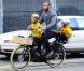 Liev Schreiber à vélo avec ses deux fils, à New York le 10 octobre 2012.