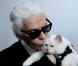 Karl Lagerfeld complètement dingue de Choupette : ''Elle me fait rire''