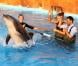 EXCLU - Photo ne pouvant être reproduite - Alexandre et Corina de Qui veut épouser mon fils ? 2 au parc Marineland à Antibes
