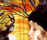 Ladyhawke