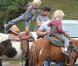 Liev Schreiber et ses deux fils Alexander et Samuel au Farmers Market à Brentwood, le 14 avril 2013.
