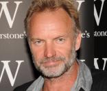 Sting