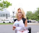 Pamela Anderson en porte-parole de Peta