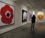 L'exposition  In Full Bloom 