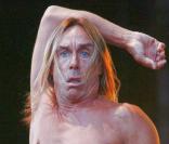 Iggy Pop en concert 