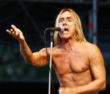 Iggy Pop en concert 