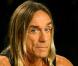 Iggy Pop va enregistrer un album de jazz !