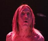 Iggy Pop en concert