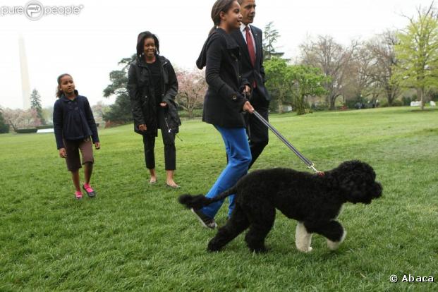 Barack Obama, Michelle, Sasha et Malia présentent l'adorable Bo à la presse ! 14/04/09