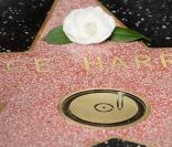 L'étoile de George Harrison, la 2382e à être scellée dans le trottoir du Walk of Fame, sur Hollywood Bvd