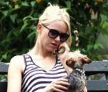 Naomi Watts se balade avec son chien et son jeune fils dans une poussette, à New York