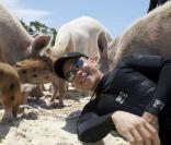 Des porcs se baignent et nagent avec les touristes aux Bahamas