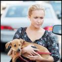 Hayden Panettiere : son nouveau chéri la rend malheureuse... comme les pierres !
